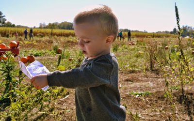 Why Farming is Great for Your Kids